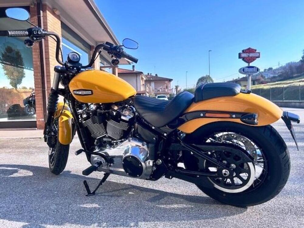 Harley-Davidson Street Bob 117 (2025 - 26) (2)