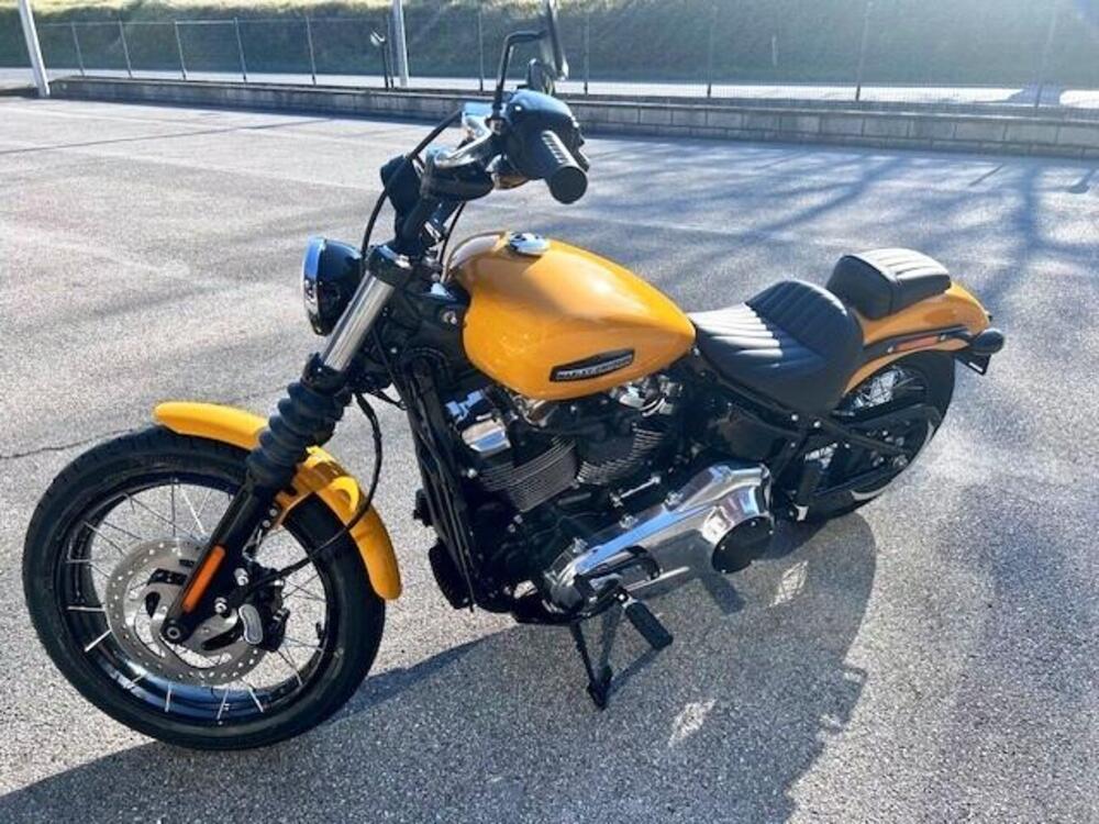 Harley-Davidson Street Bob 117 (2025 - 26) (3)