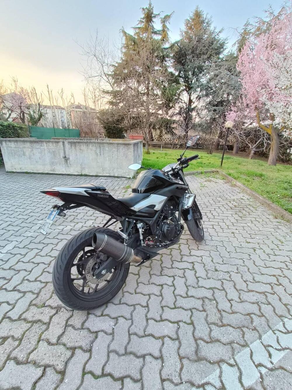 Yamaha MT-03 (2016 - 17) (3)