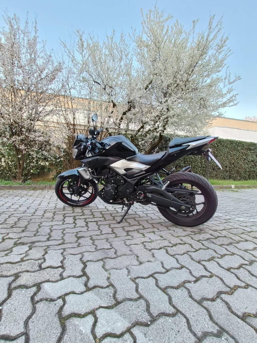 Yamaha MT-03 (2016 - 17) (2)