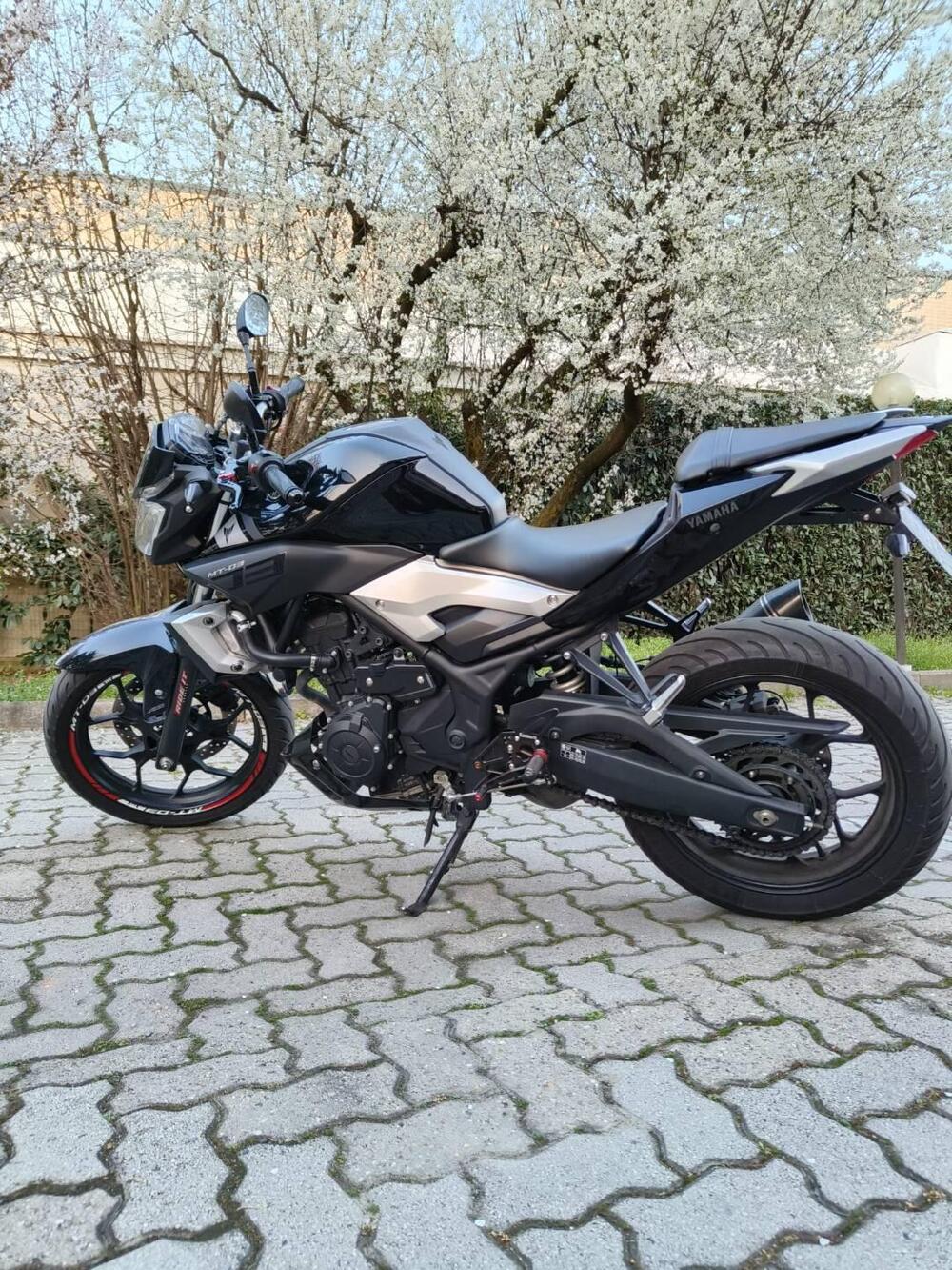 Yamaha MT-03 (2016 - 17) (5)