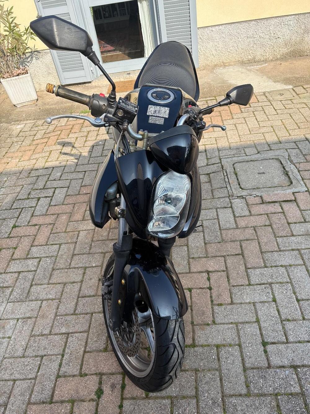 Kawasaki ER-6N (2005 - 08)