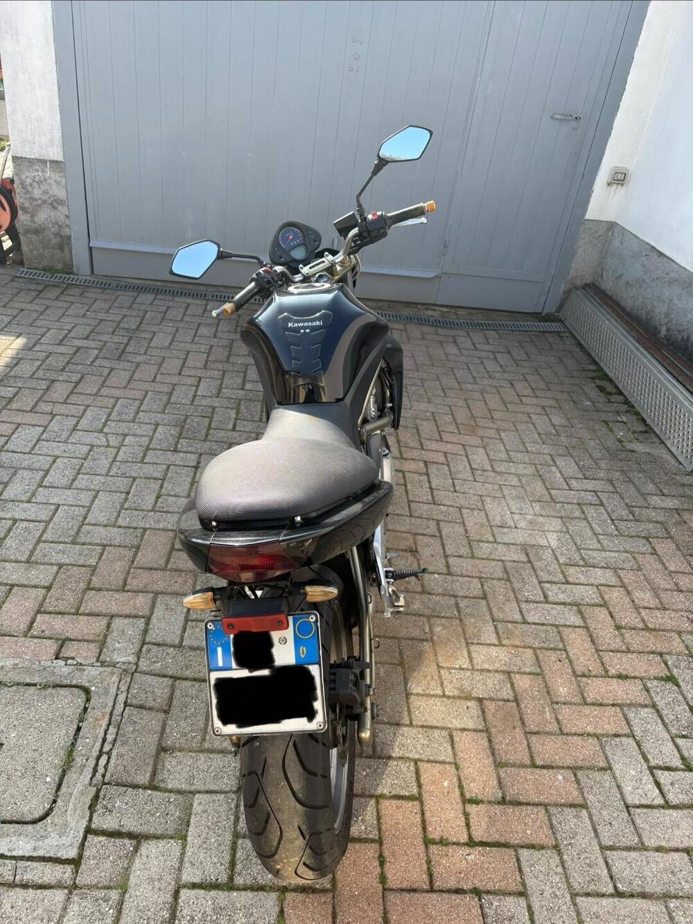 Kawasaki ER-6N (2005 - 08) (3)