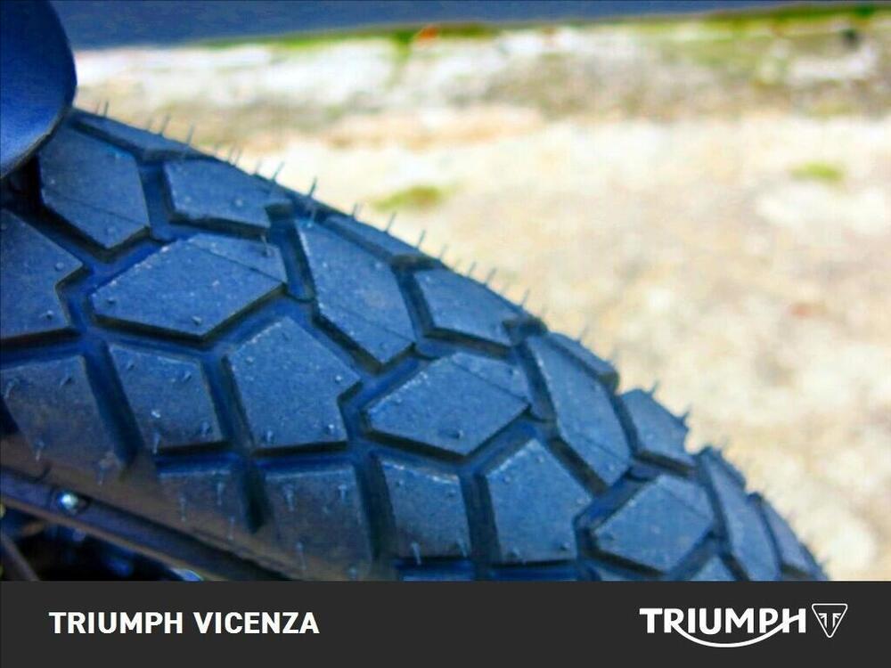 Triumph Tiger 900 Rally Pro (2020 - 23) (6)