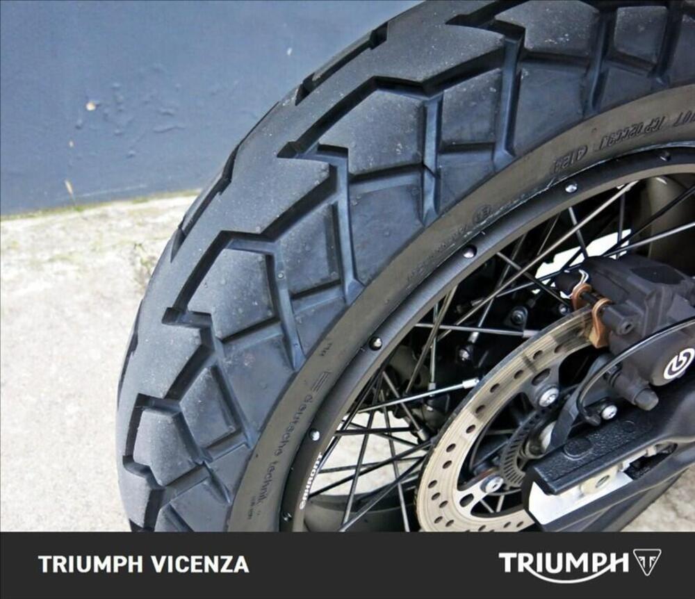 Triumph Tiger 900 Rally Pro (2020 - 23) (8)
