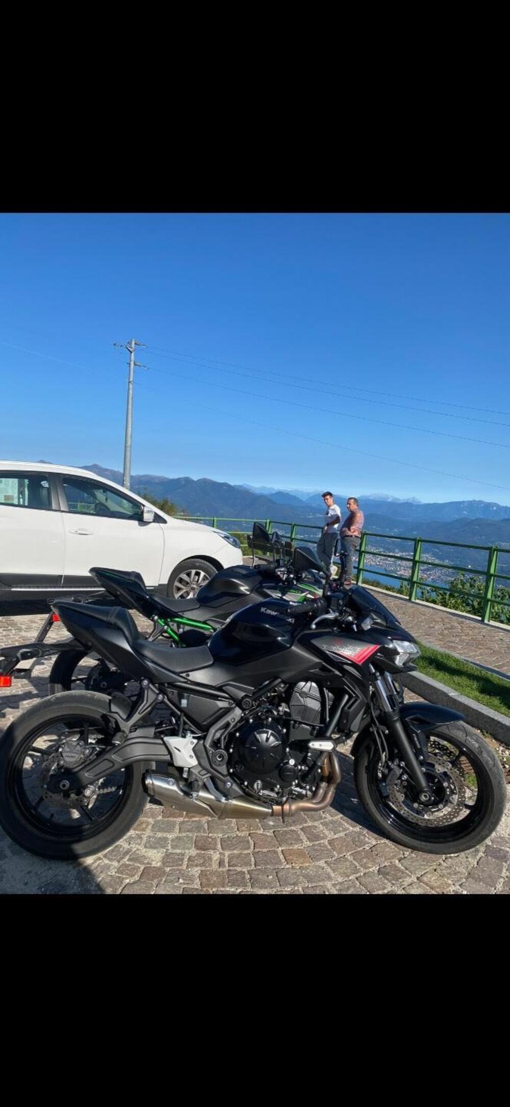 Kawasaki Z 650 (2021 - 24)