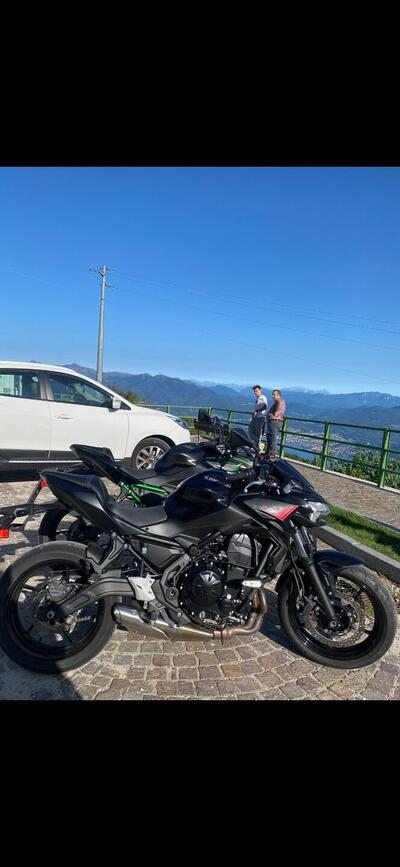 Kawasaki Z 650 (2021 - 24) usata