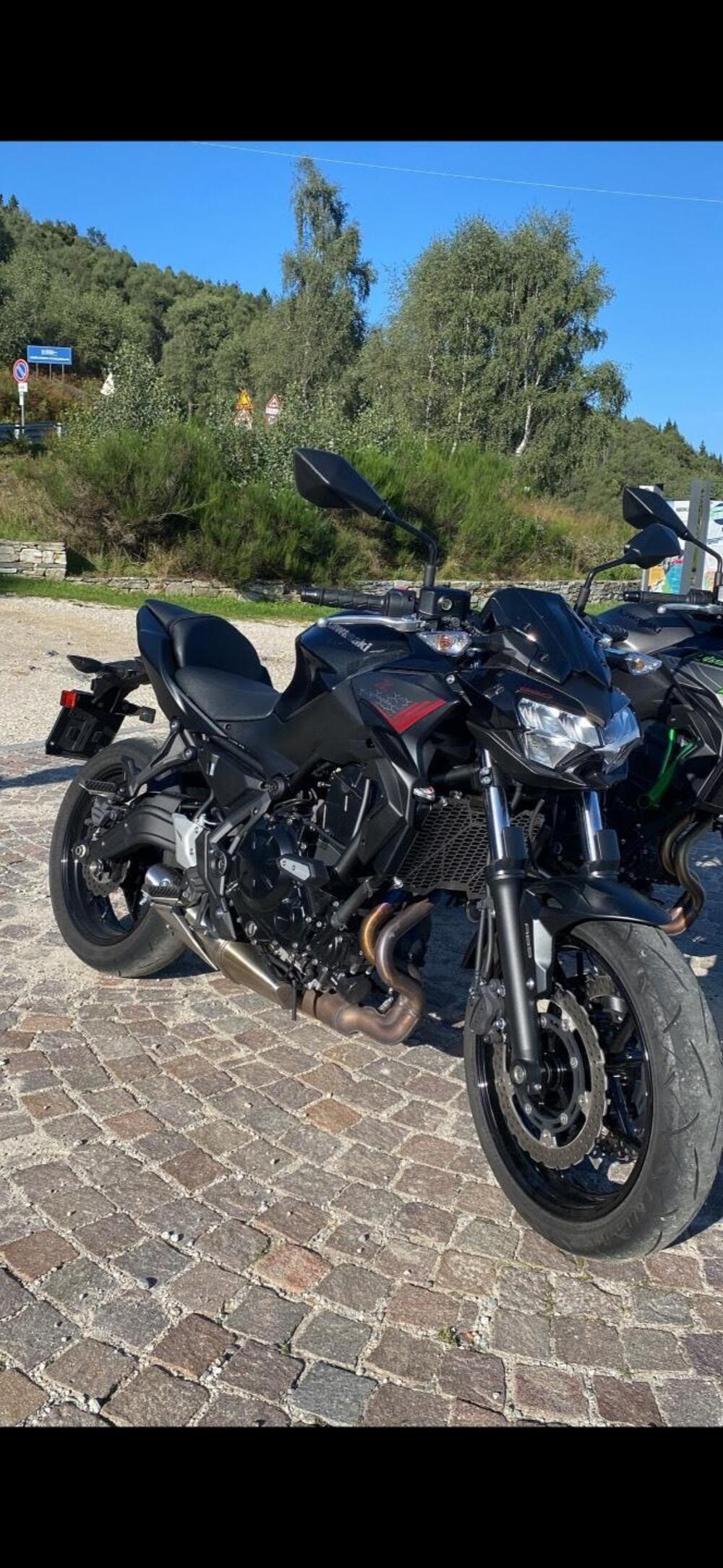 Kawasaki Z 650 (2021 - 24) (4)