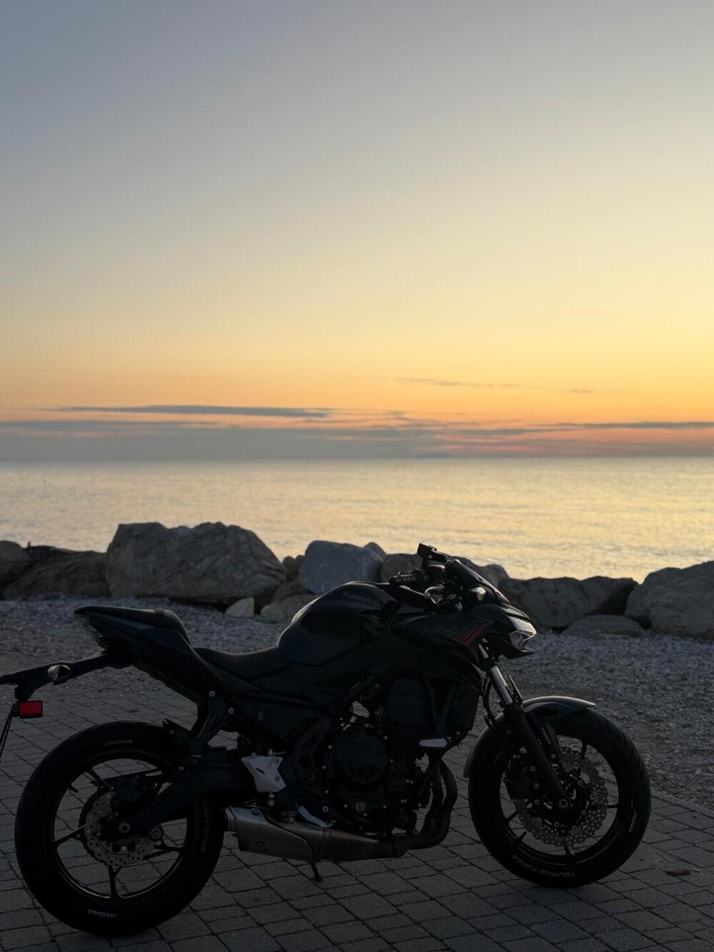 Kawasaki Z 650 (2021 - 24) (6)