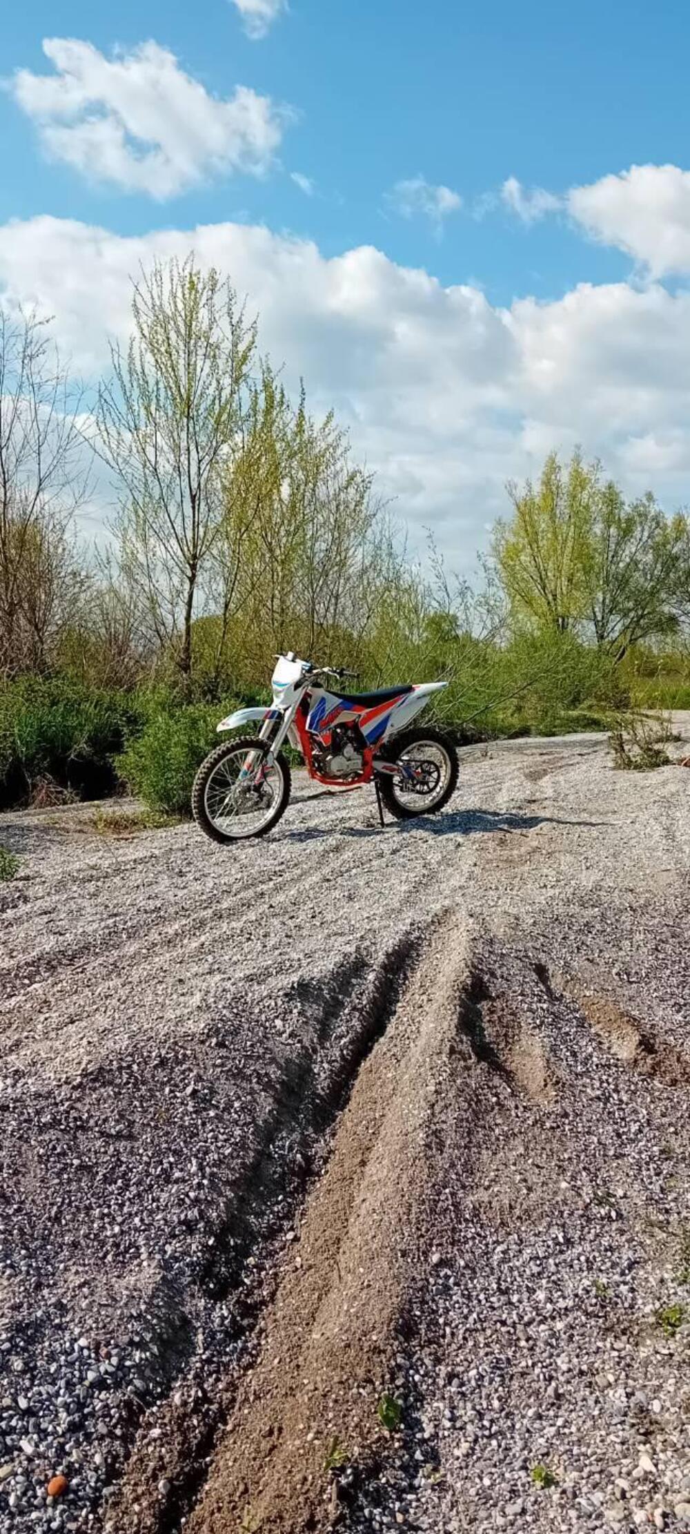 Lem Motor Dirt Bike 250 Pro (2020) (4)