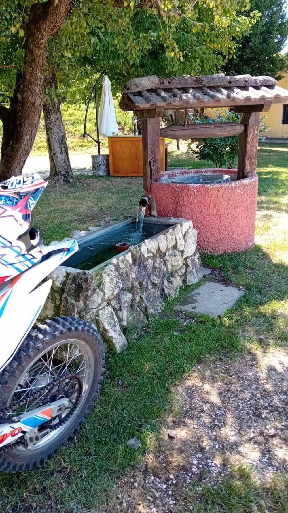 Lem Motor Dirt Bike 250 Pro (2020) (5)