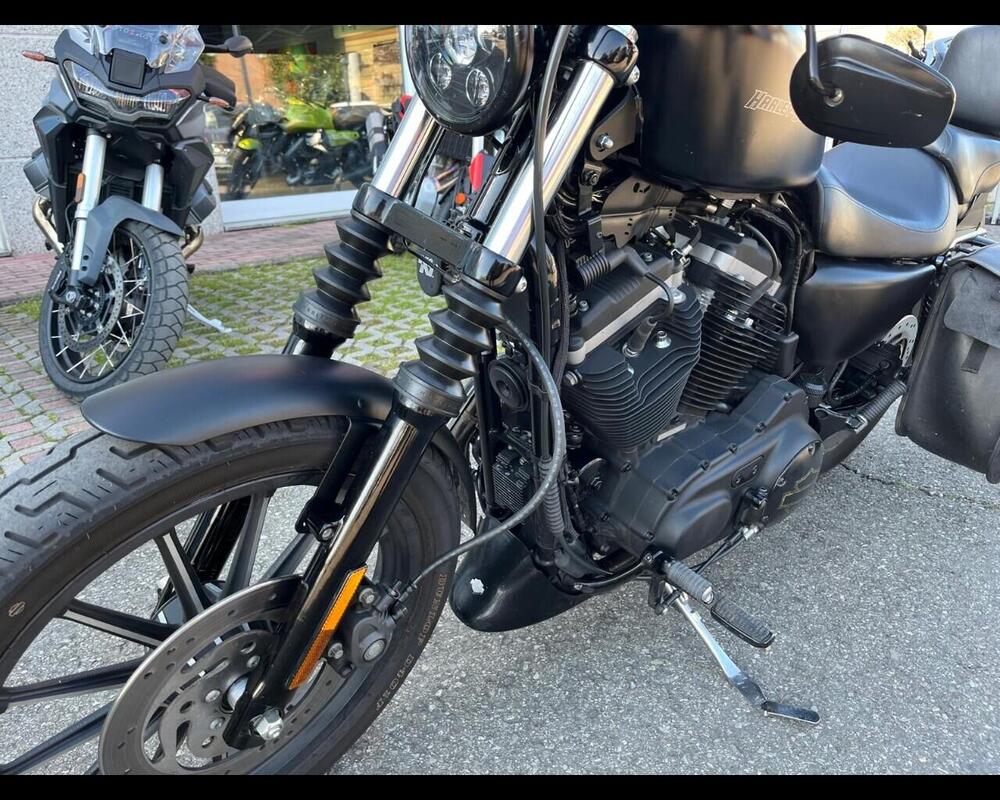 Harley-Davidson 1200 Sport (2001 - 03) - XL 1200S (9)