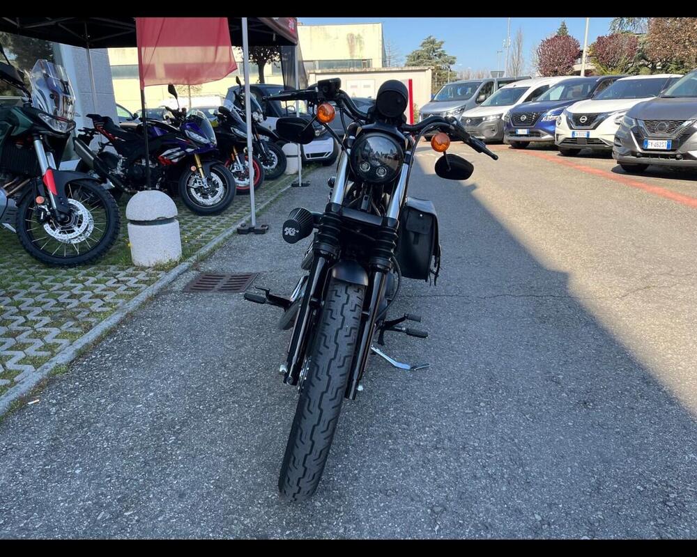 Harley-Davidson 1200 Sport (2001 - 03) - XL 1200S (2)