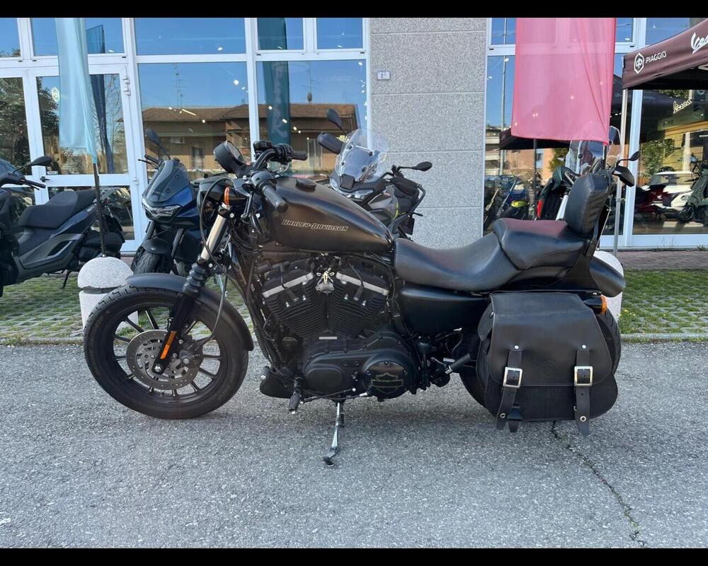 Harley-Davidson 1200 Sport (2001 - 03) - XL 1200S (8)