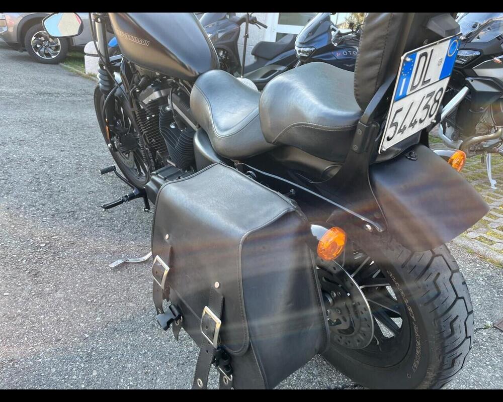 Harley-Davidson 1200 Sport (2001 - 03) - XL 1200S (12)