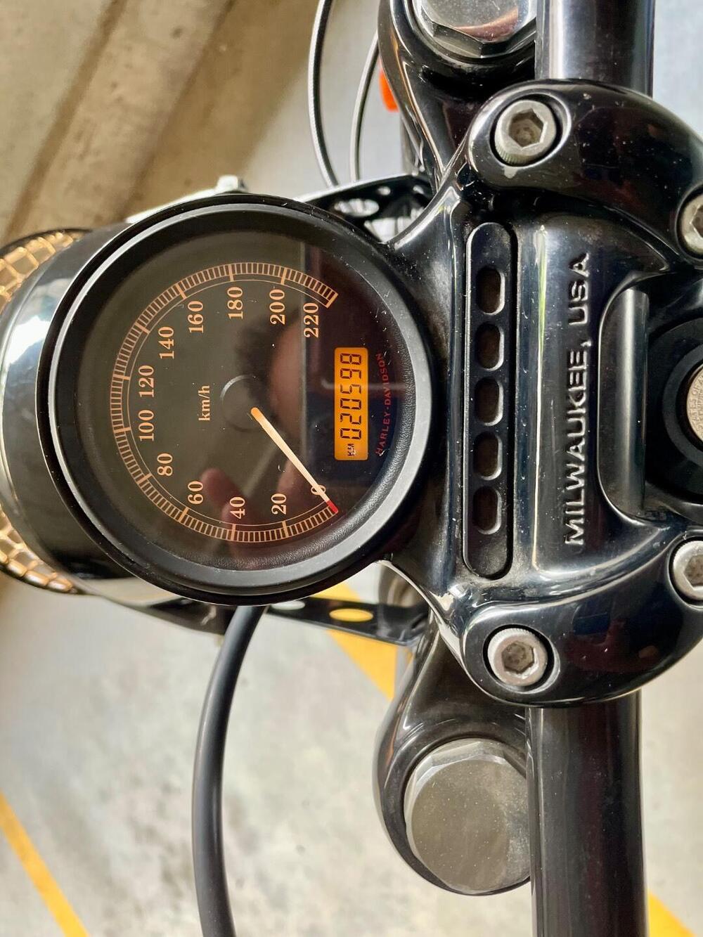 Harley-Davidson 1200 Forty-Eight (2010 - 15) (4)