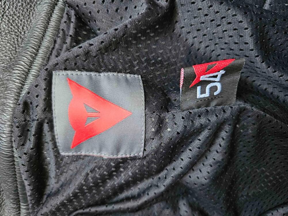 Pantaloni in pelle Dainese (3)