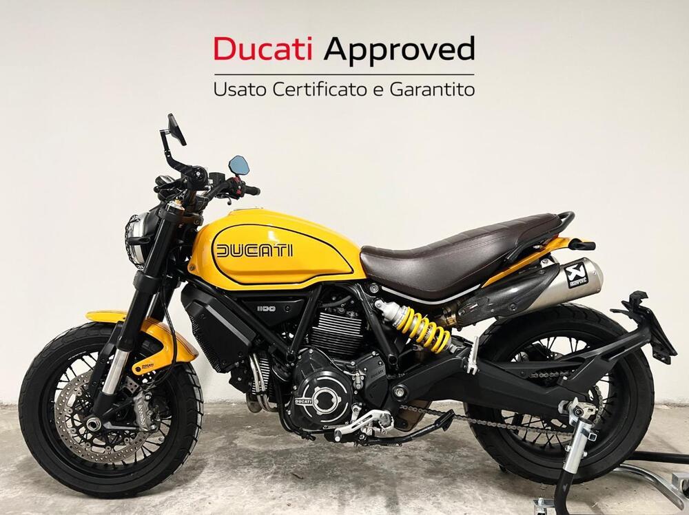 Ducati Scrambler 1100 Tribute Pro (2022 - 24) (4)