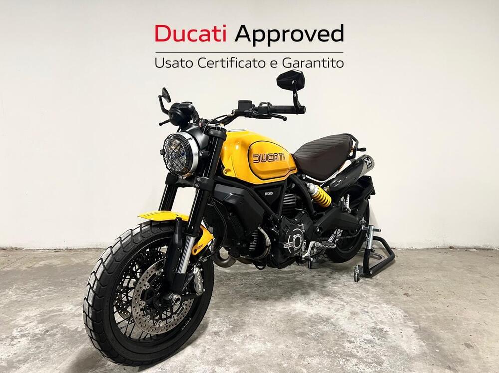 Ducati Scrambler 1100 Tribute Pro (2022 - 24) (5)