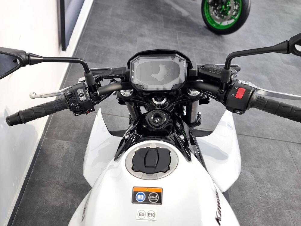 Kawasaki Z 650 (2025 - 26) (4)