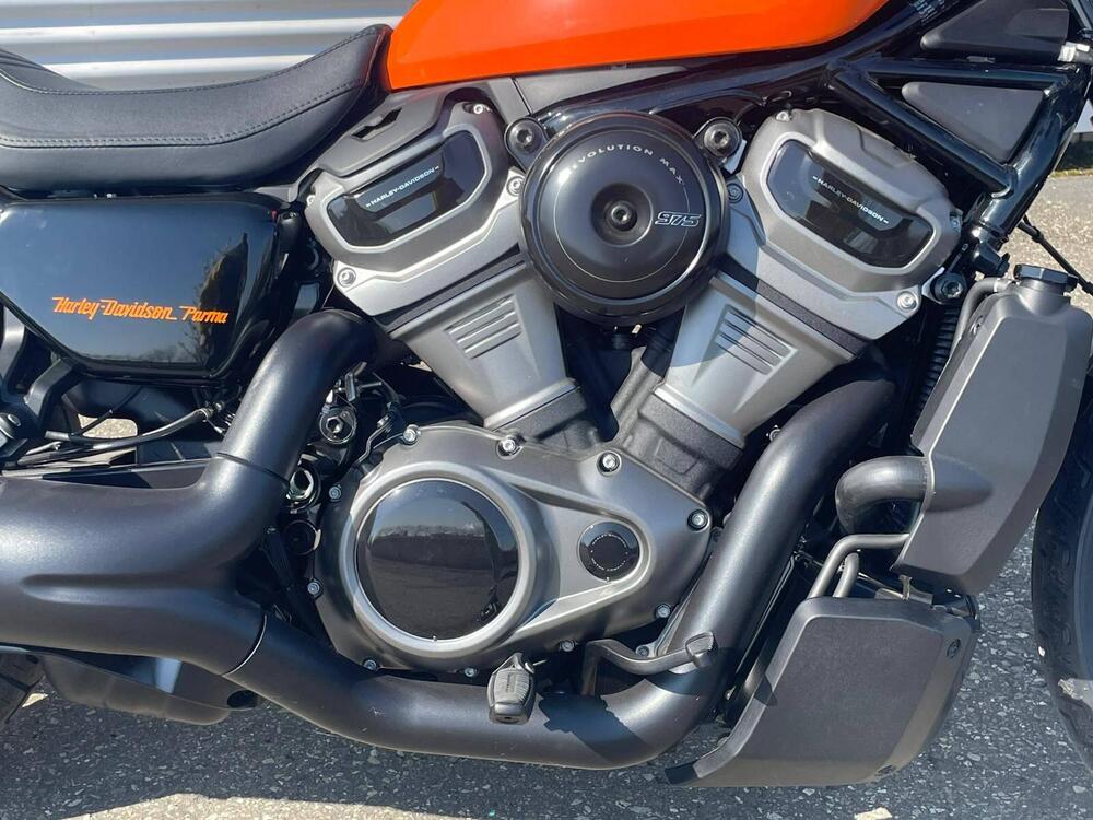 Harley-Davidson Nightster Special (2023 - 26) (4)