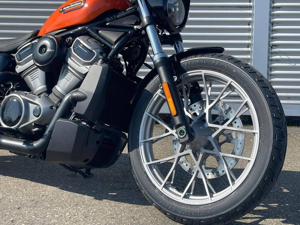 Harley-Davidson Nightster Special (2023 - 26) (6)
