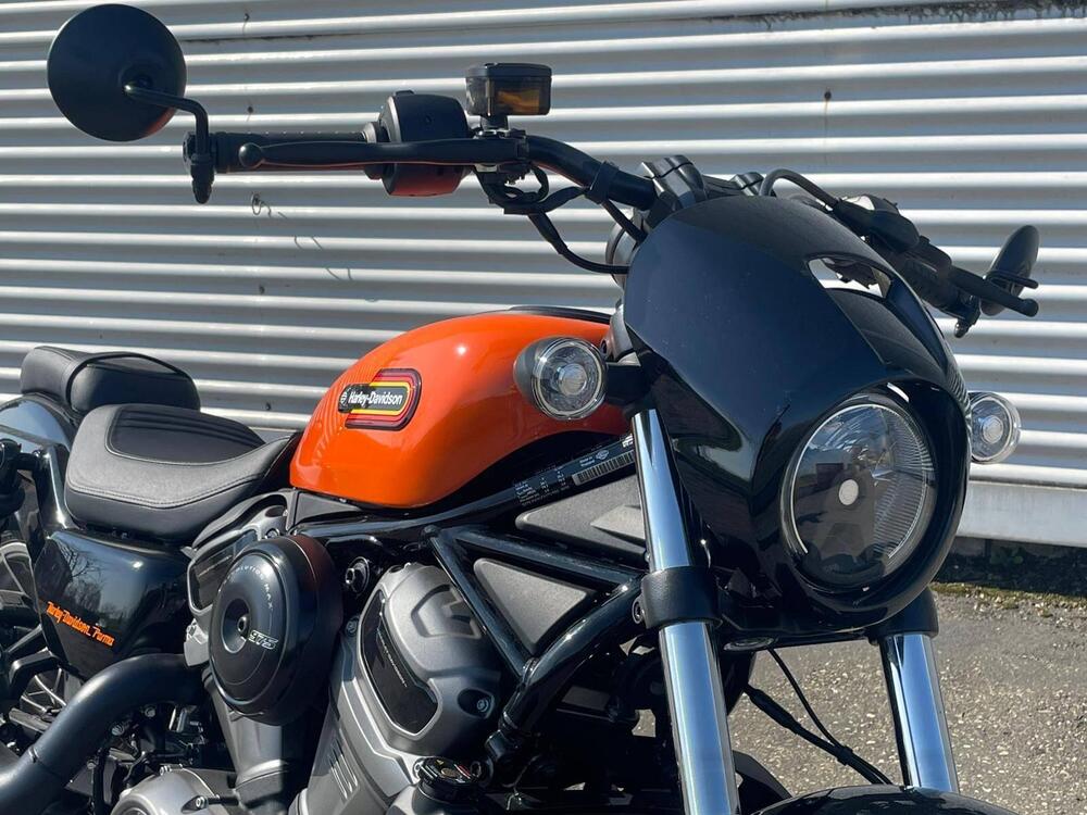 Harley-Davidson Nightster Special (2023 - 26) (7)