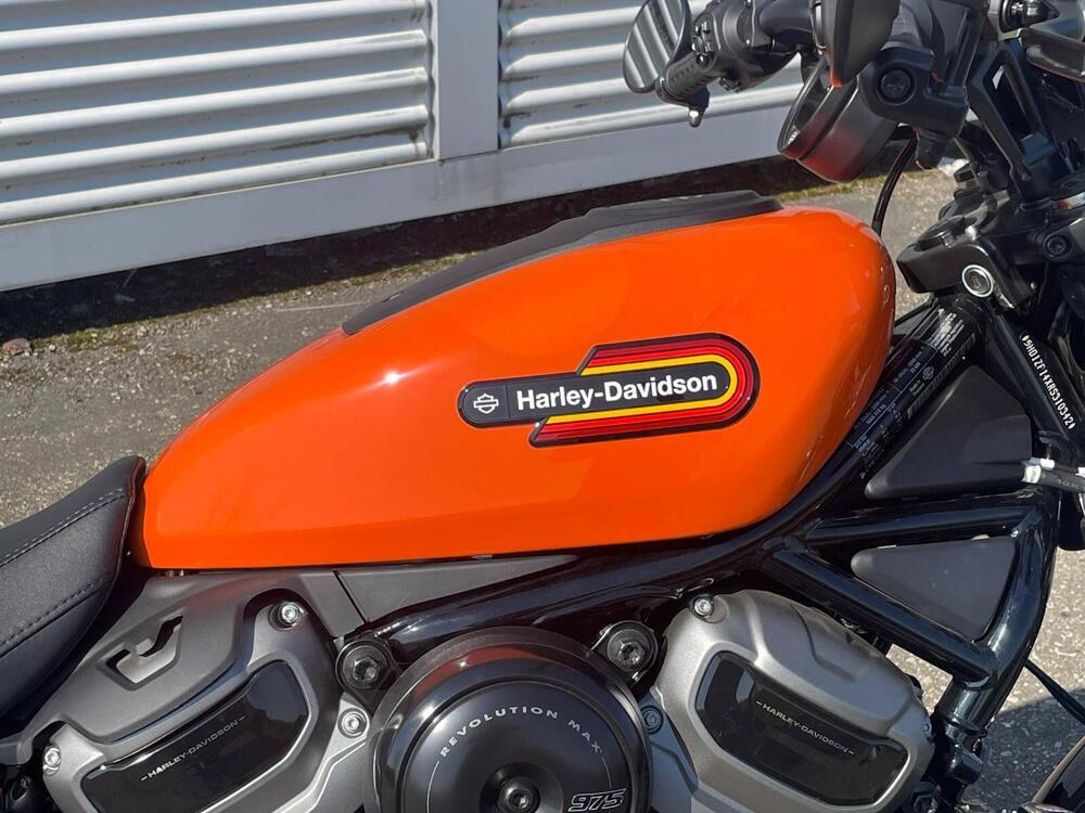 Harley-Davidson Nightster Special (2023 - 26) (8)