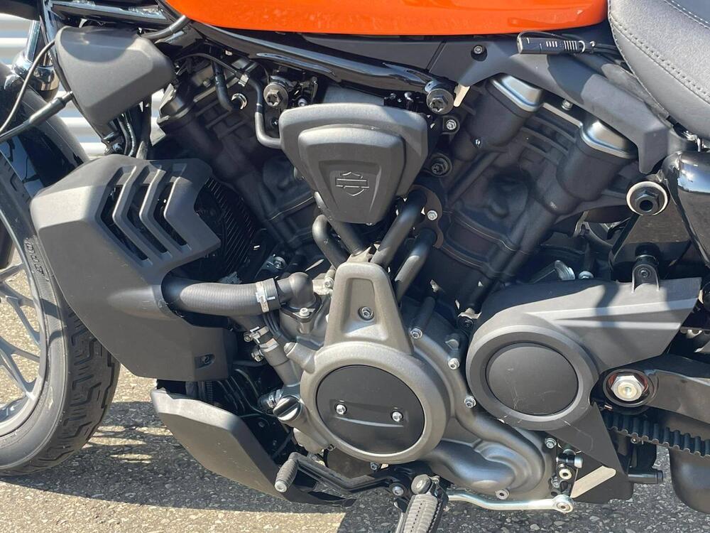 Harley-Davidson Nightster Special (2023 - 26) (11)