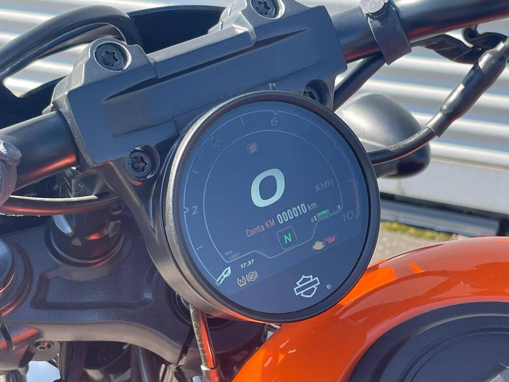 Harley-Davidson Nightster Special (2023 - 26) (15)