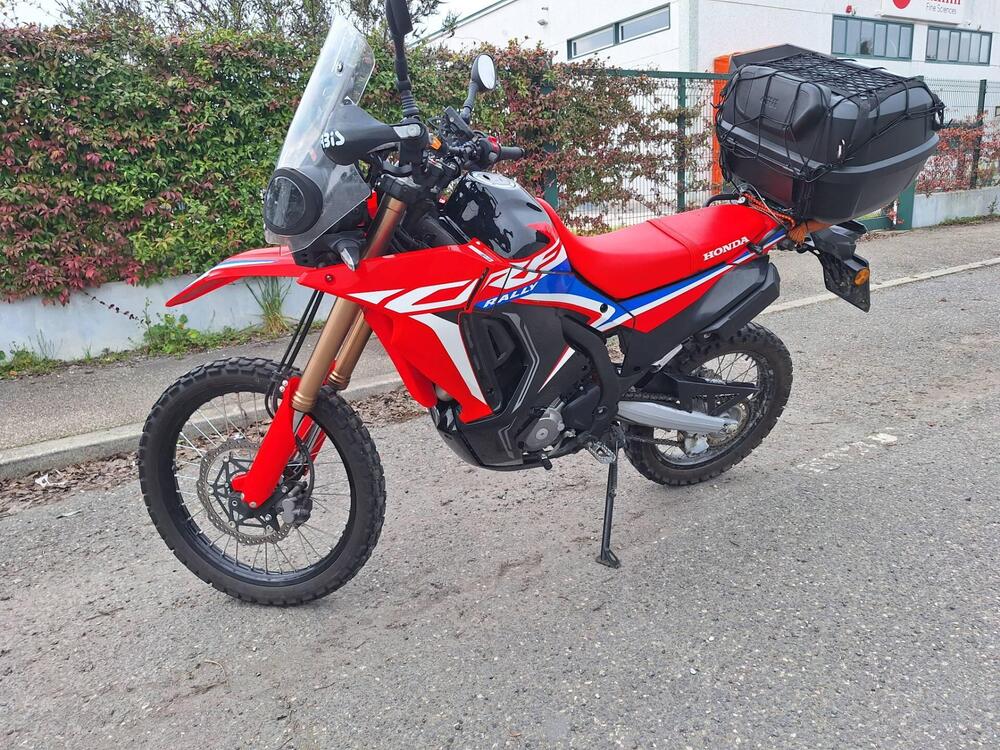 Honda CRF 300 Rally (2021 - 24) (2)