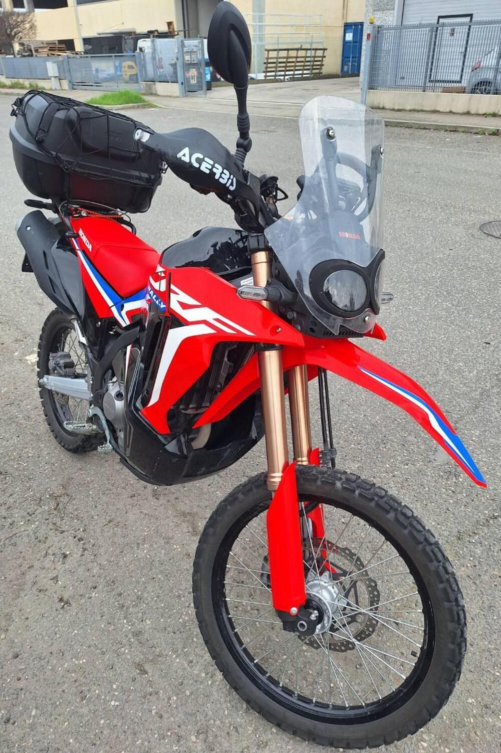 Honda CRF 300 Rally (2021 - 24)