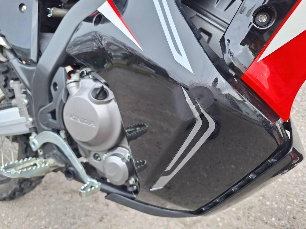 Honda CRF 300 Rally (2021 - 24) (8)