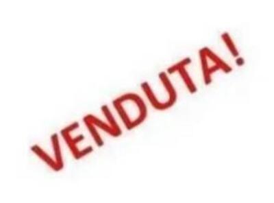 Ducati Monster 937 + (2021 - 25) usata