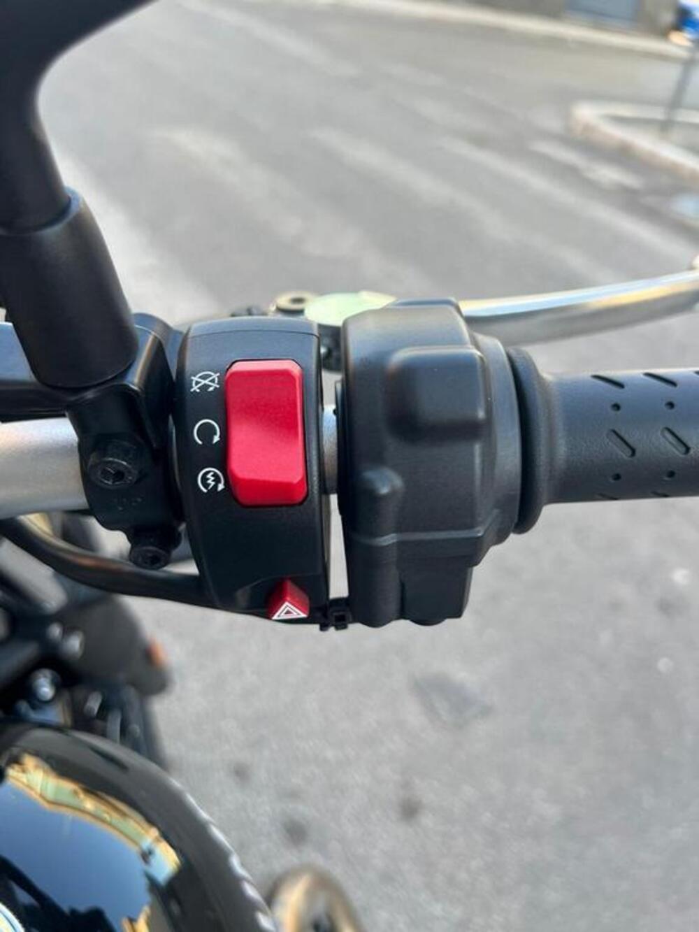 Triumph Street Scrambler 900 (2017 - 18) (11)