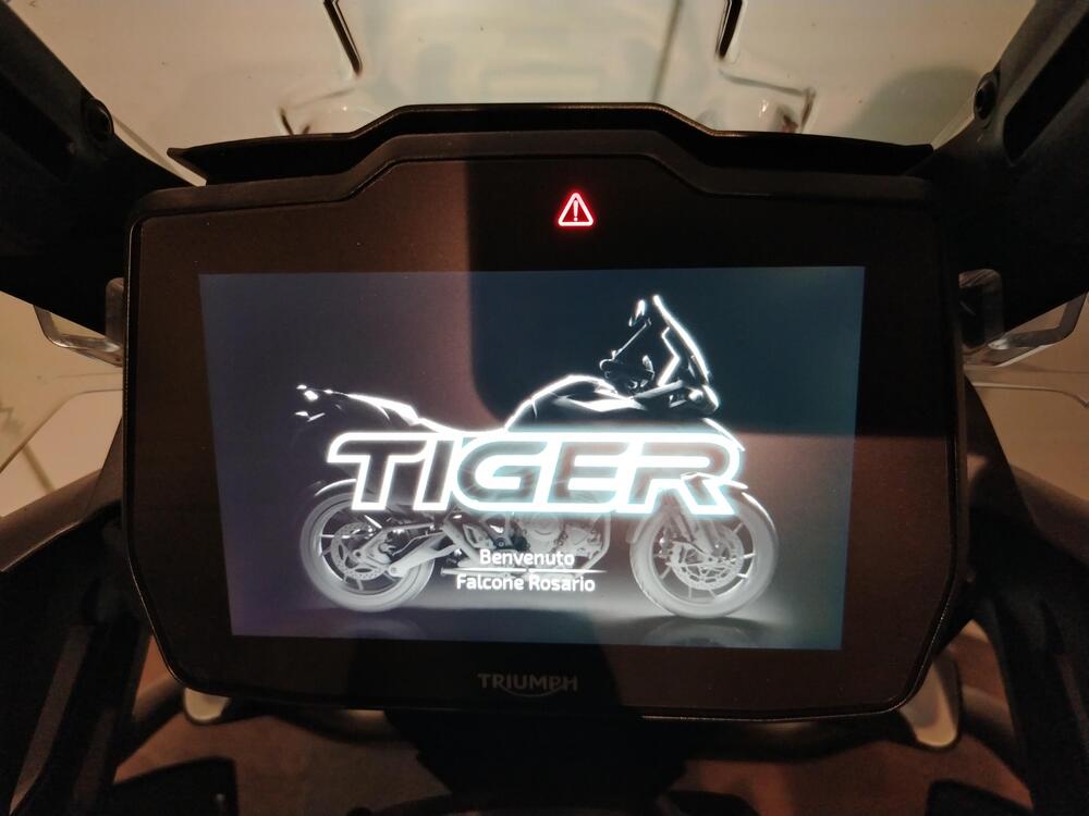 Triumph Tiger 1200 GT Pro (2022 - 23) (5)
