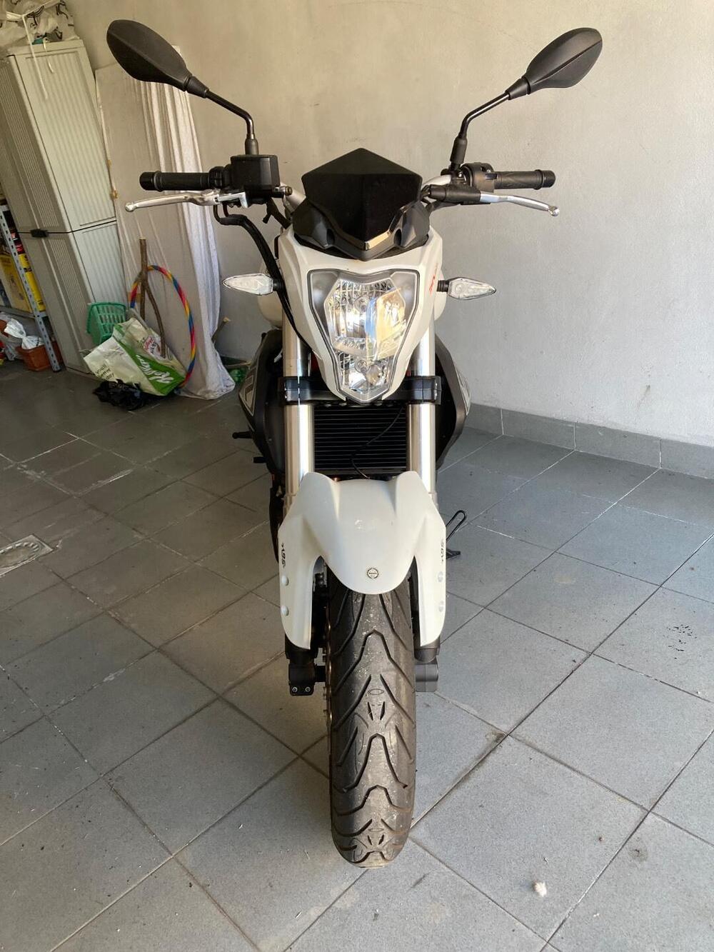Benelli BN 302 (2017 - 19) (2)