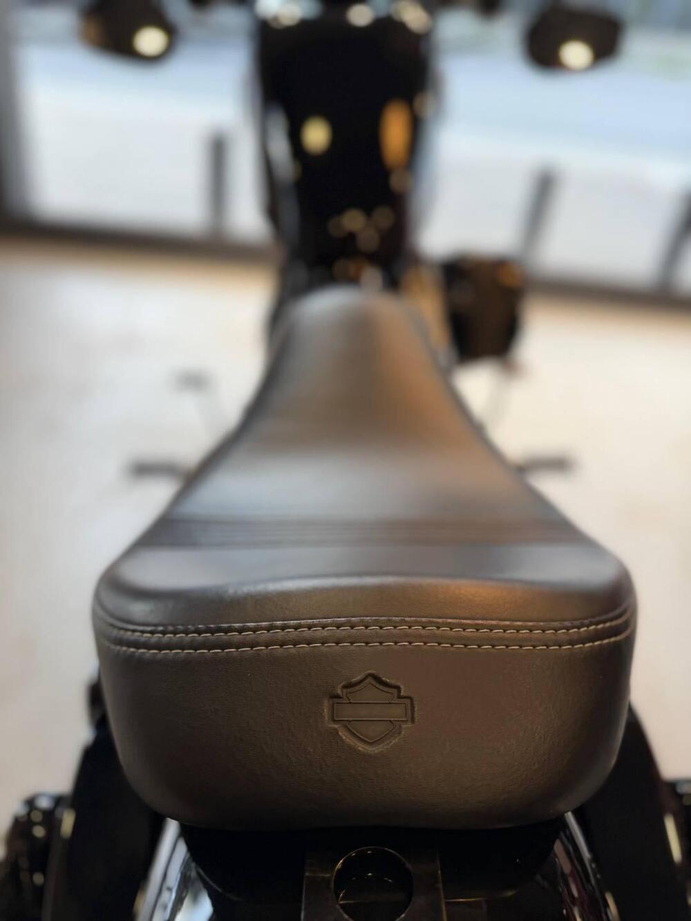 Harley-Davidson 1200 Forty-Eight (2016 - 20) (14)