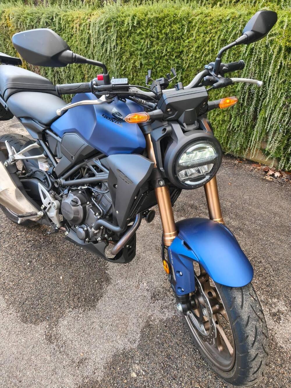 Honda CB 300 R (2022 - 26) (6)