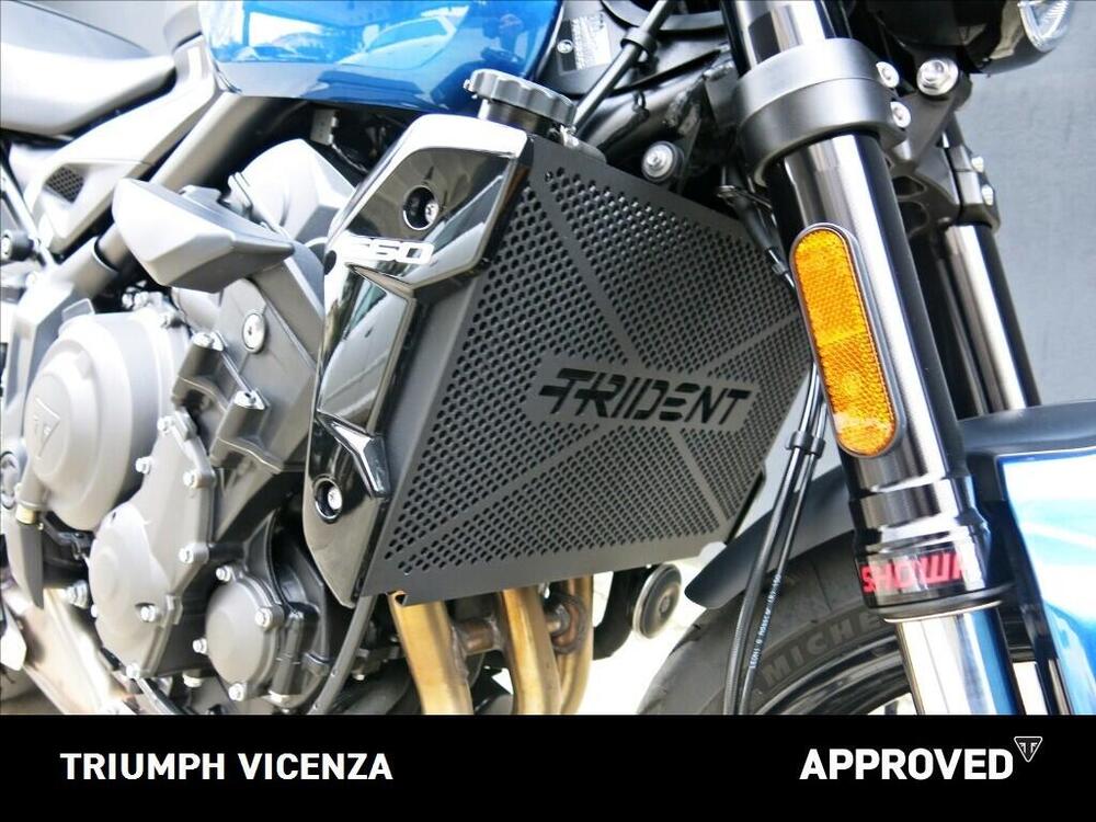 Triumph Trident 660 (2025) (6)