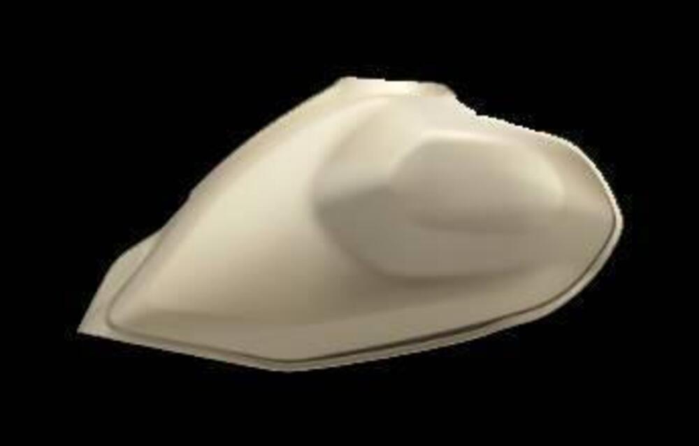 Royal Enfield Himalayan 450 (2024 - 26) (2)