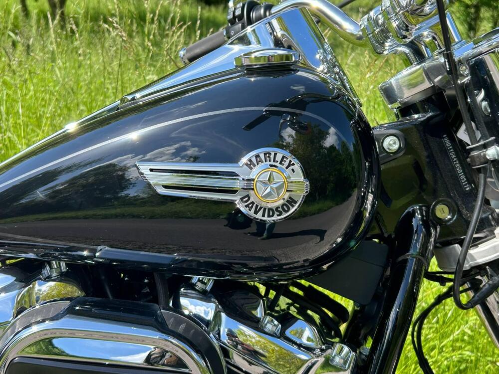 Harley-Davidson Fat Boy 114 (2021 - 24) (3)
