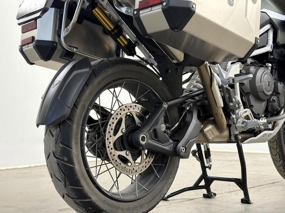 Triumph Tiger 1200 Rally Explorer (2022 - 23) (3)