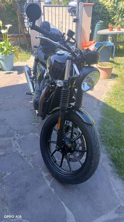 Triumph Speed Twin 900 Stealth Edition (2024) usata