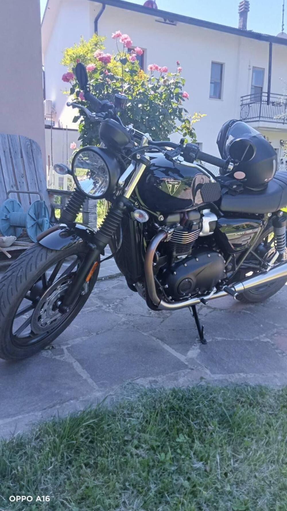 Triumph Speed Twin 900 Stealth Edition (2024) (4)