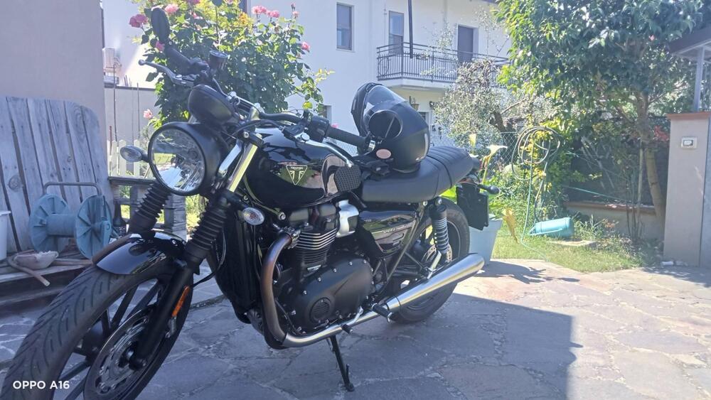Triumph Speed Twin 900 Stealth Edition (2024) (5)