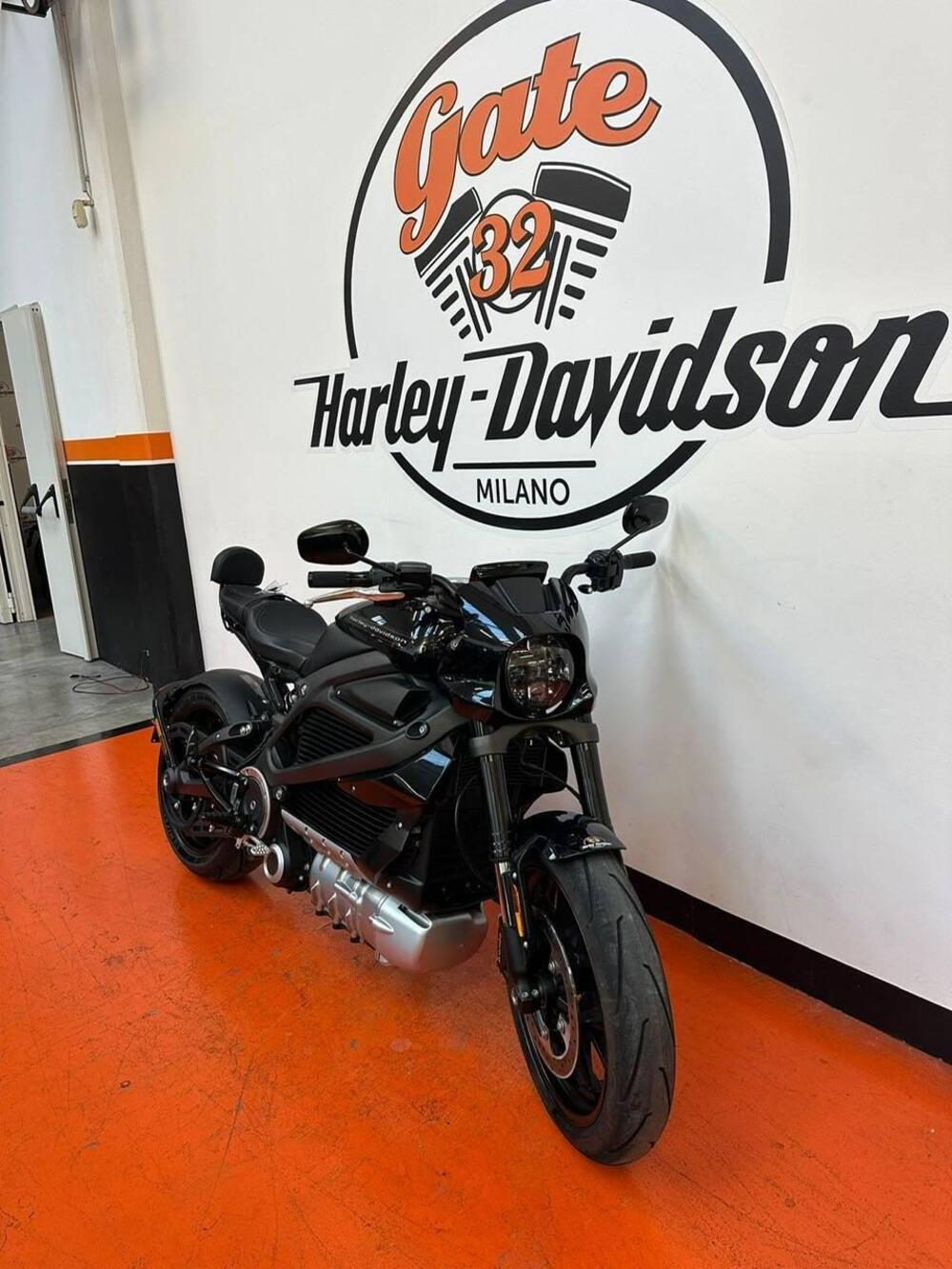 Harley-Davidson LiveWire (2019 - 22) (2)