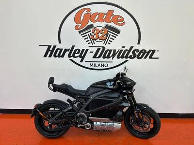 Harley-Davidson LiveWire (2019 - 22) usata