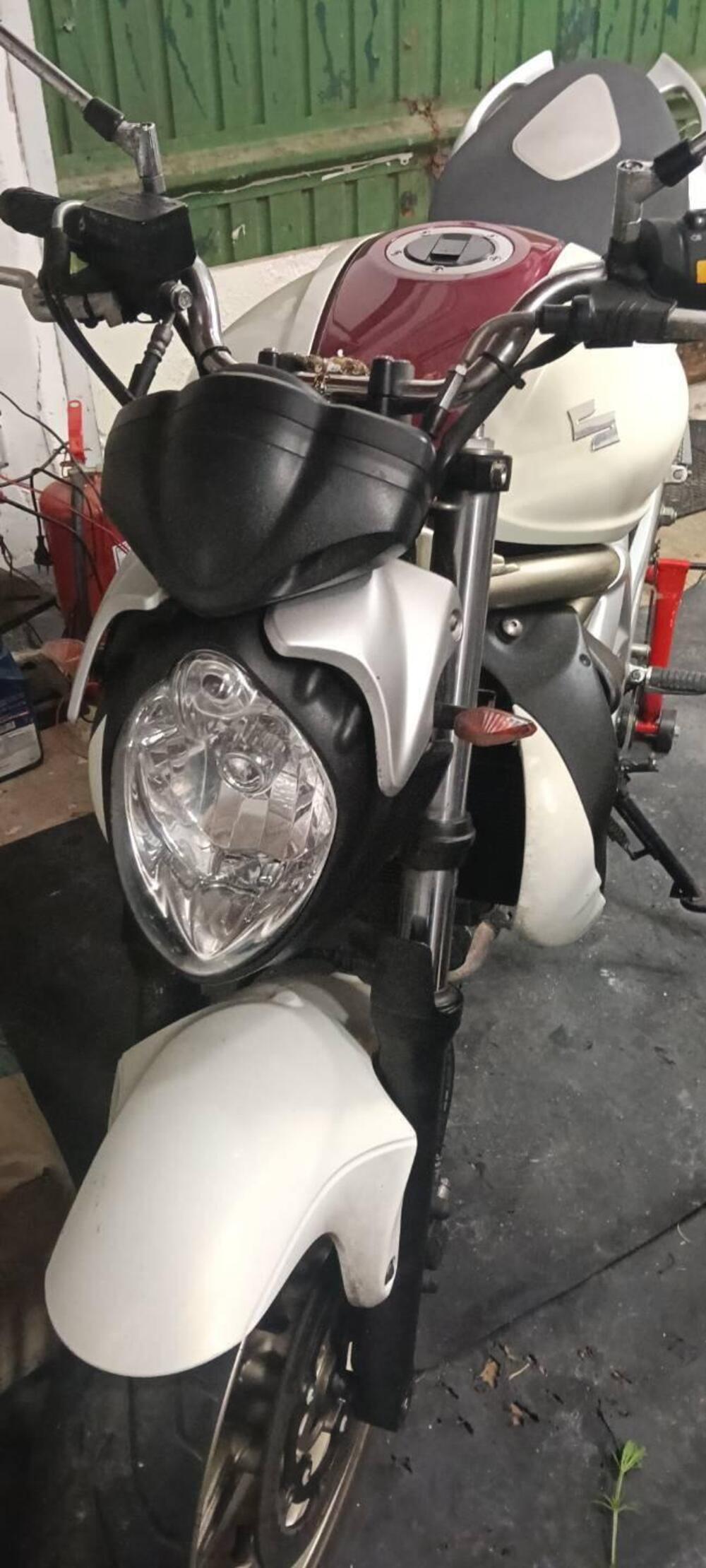 Suzuki SV 650 S (2003 - 06)