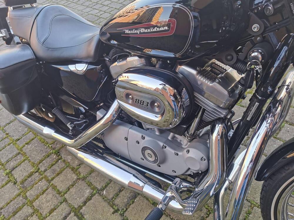 Harley-Davidson 883 Custom (2008 - 12) - XL 883C (8)